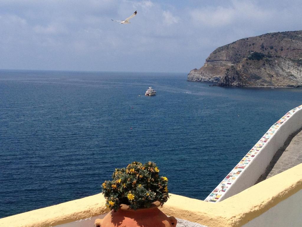 Appartamenti Casa Del Sole Sant'Angelo  المظهر الخارجي الصورة